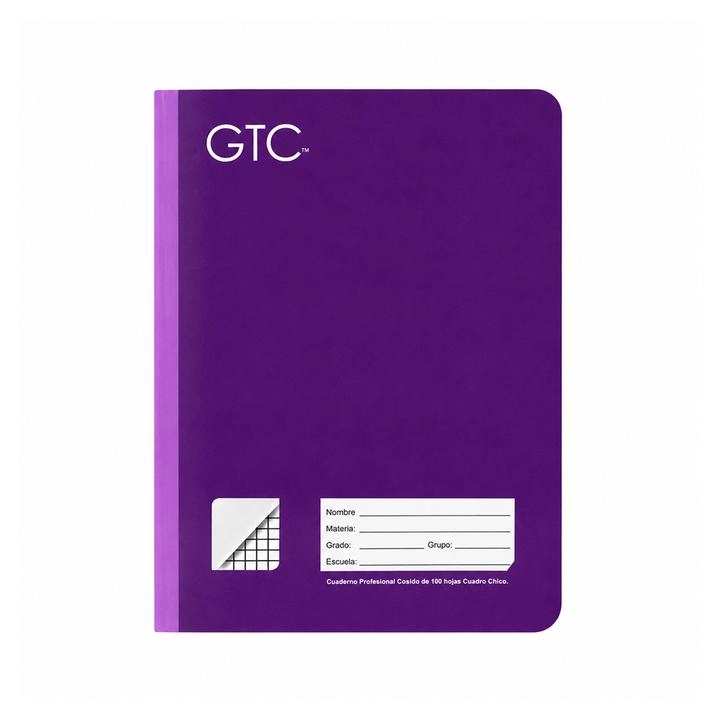 GTC Cuaderno Cosido Profesional Cuadro Chico 100 Hojas