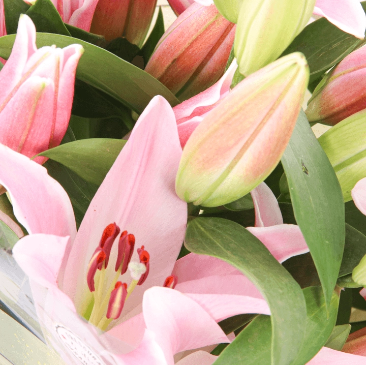 Floral Boutique Bouquet Orientales 3 Tallos