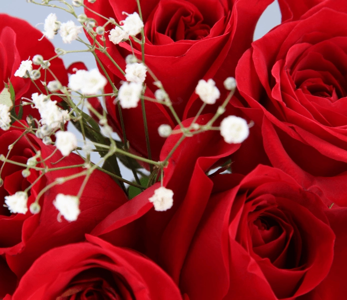 Floral Boutique Bouquet de Rosas 6 Tallos
