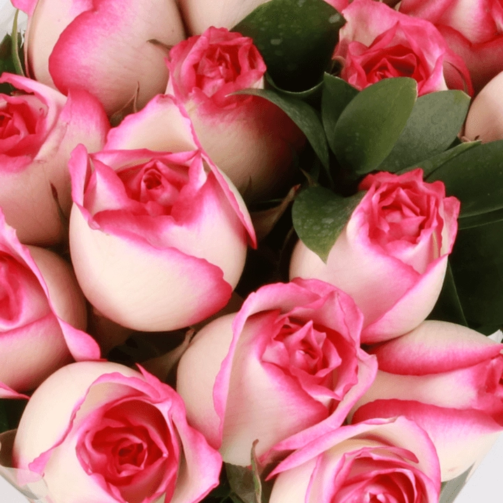 Floral Boutique Bouquet de Rosas Variedad de Colores 15 Tallos
