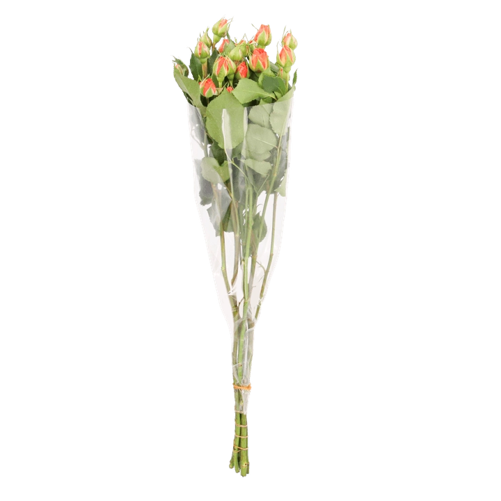 Floral Boutique Bouquet Mini Rosa 5 Tallos