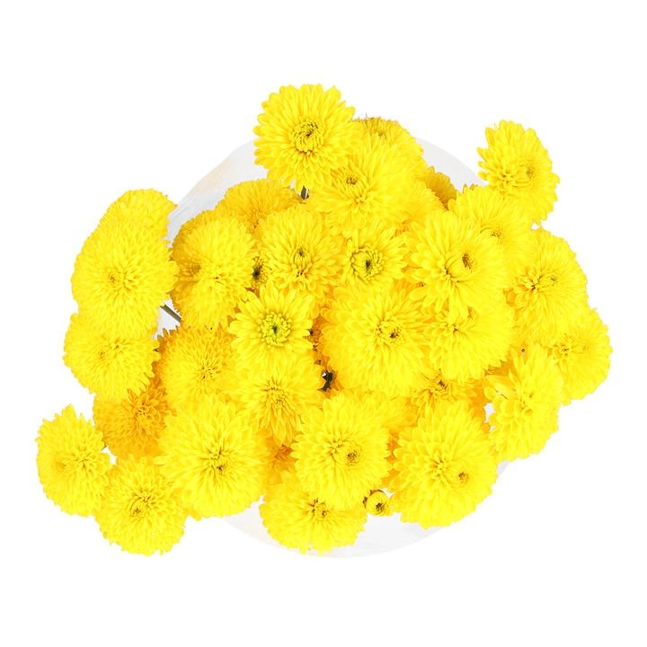 Bouquet Flores Amarillas  1 Pz