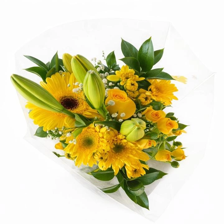 Bouquet Solar