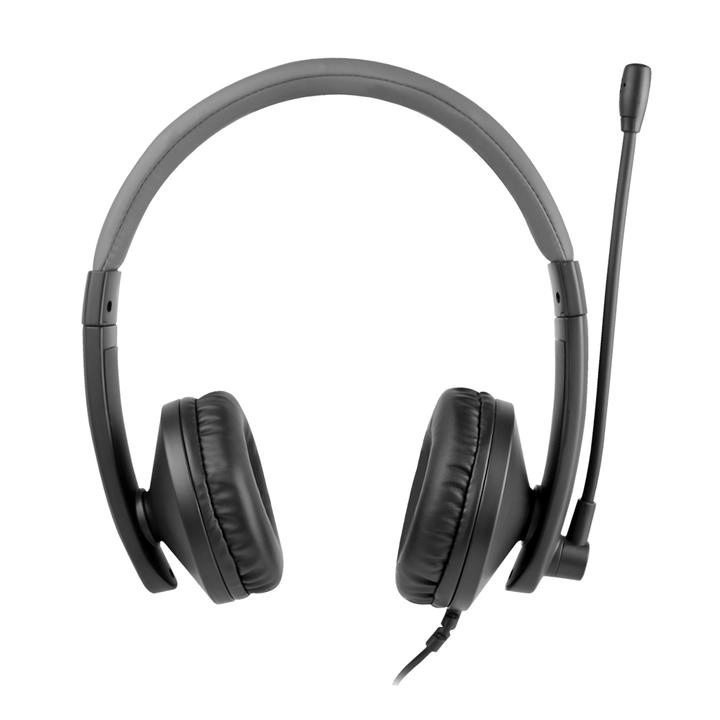Diadema Profesional Usb con Micrófono Loudy 1 Pz