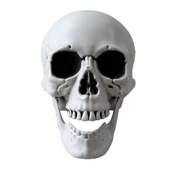 Halloween Calavera 20 X 16 Cms 1 Pz    