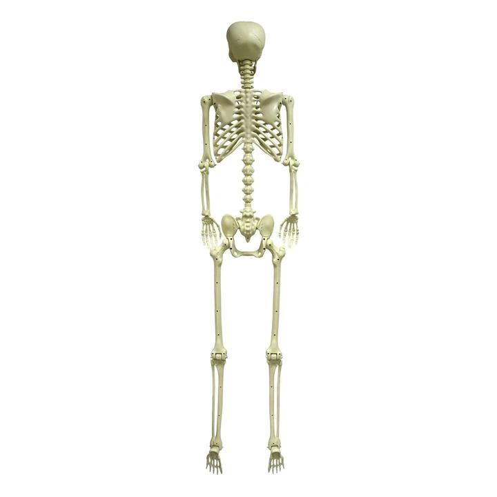 Halloween Esqueleto 180 Cm 1 Pz